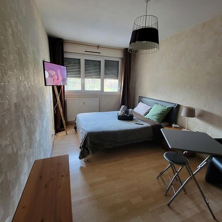 Pour Deplacement 3 Chambres Echirolles Bagian luar foto